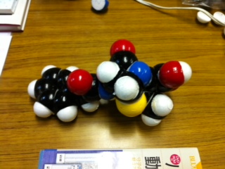 ペニシリン分子模型