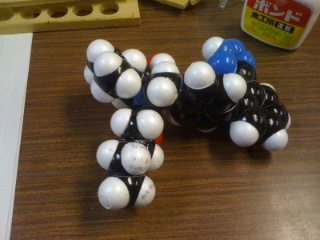 バルサルタン分子模型